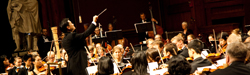 Mercury Orchestra in performance