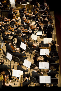 Mercury Orchestra in performance